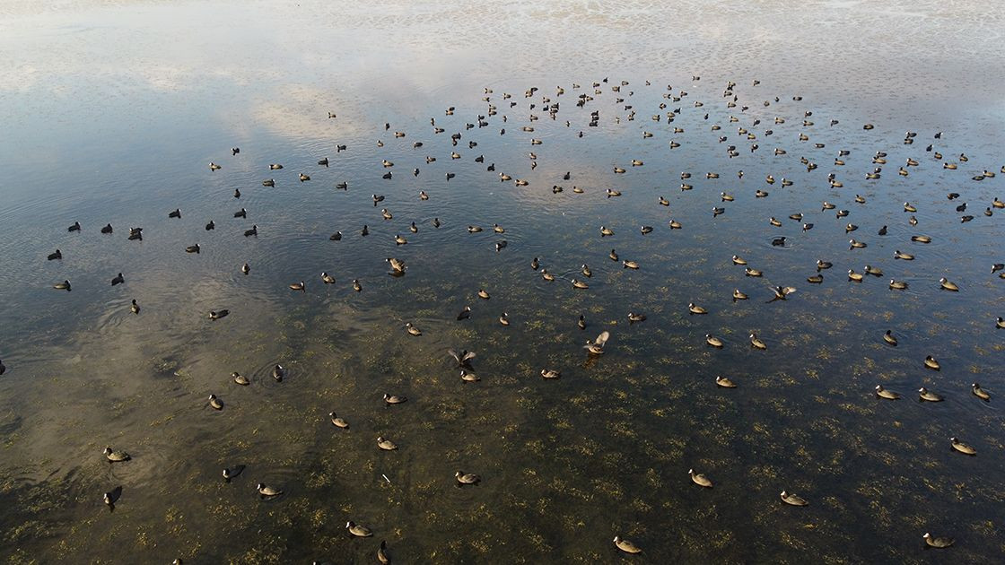 Suyu aşırı çekilen Beyşehir Gölü, kış yağışlarını bekliyor - Sayfa 4