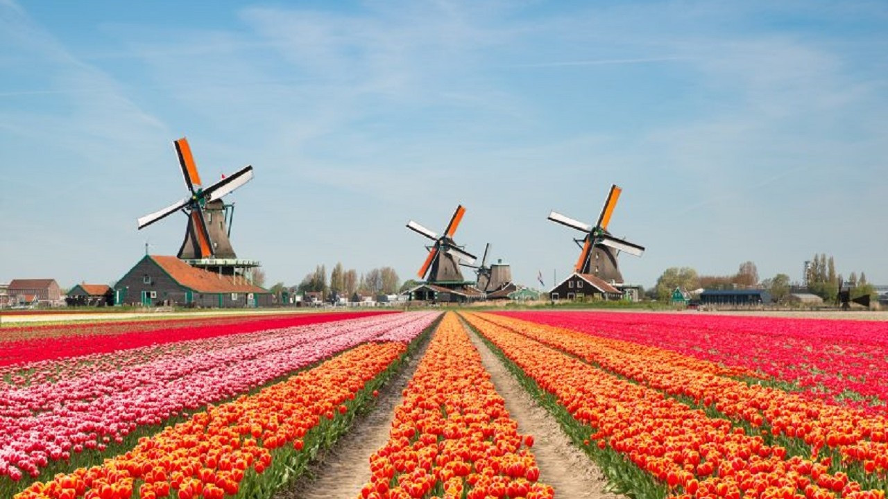Hollanda gıdada fırsatlar sunuyor
