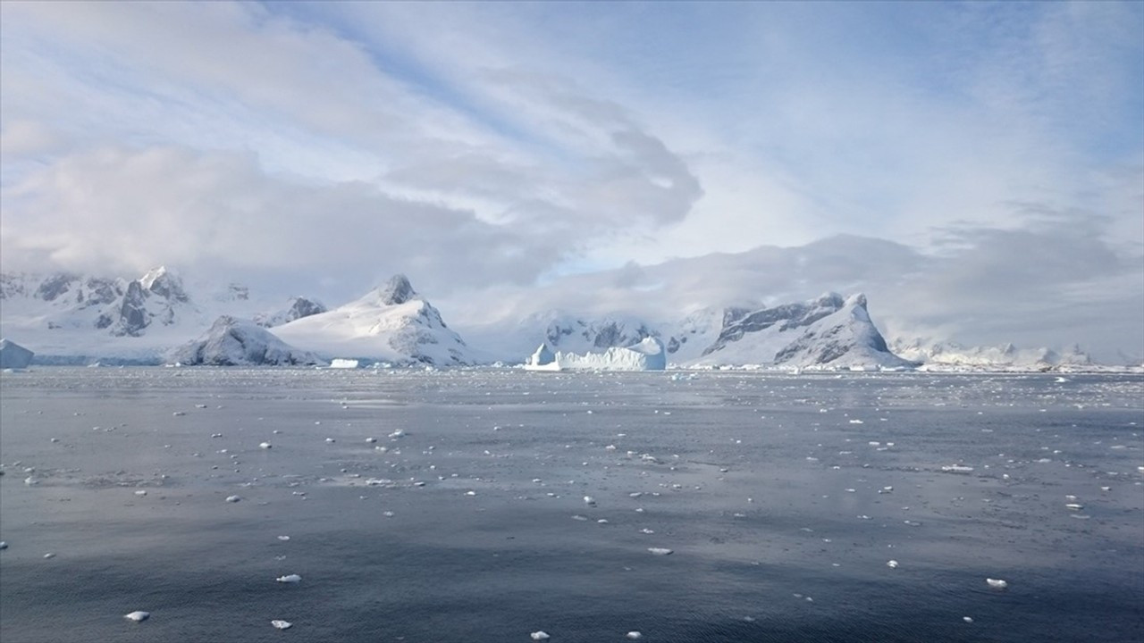 Antarktika'da 'dünyanın en büyük balık üreme kolonisi' keşfedildi