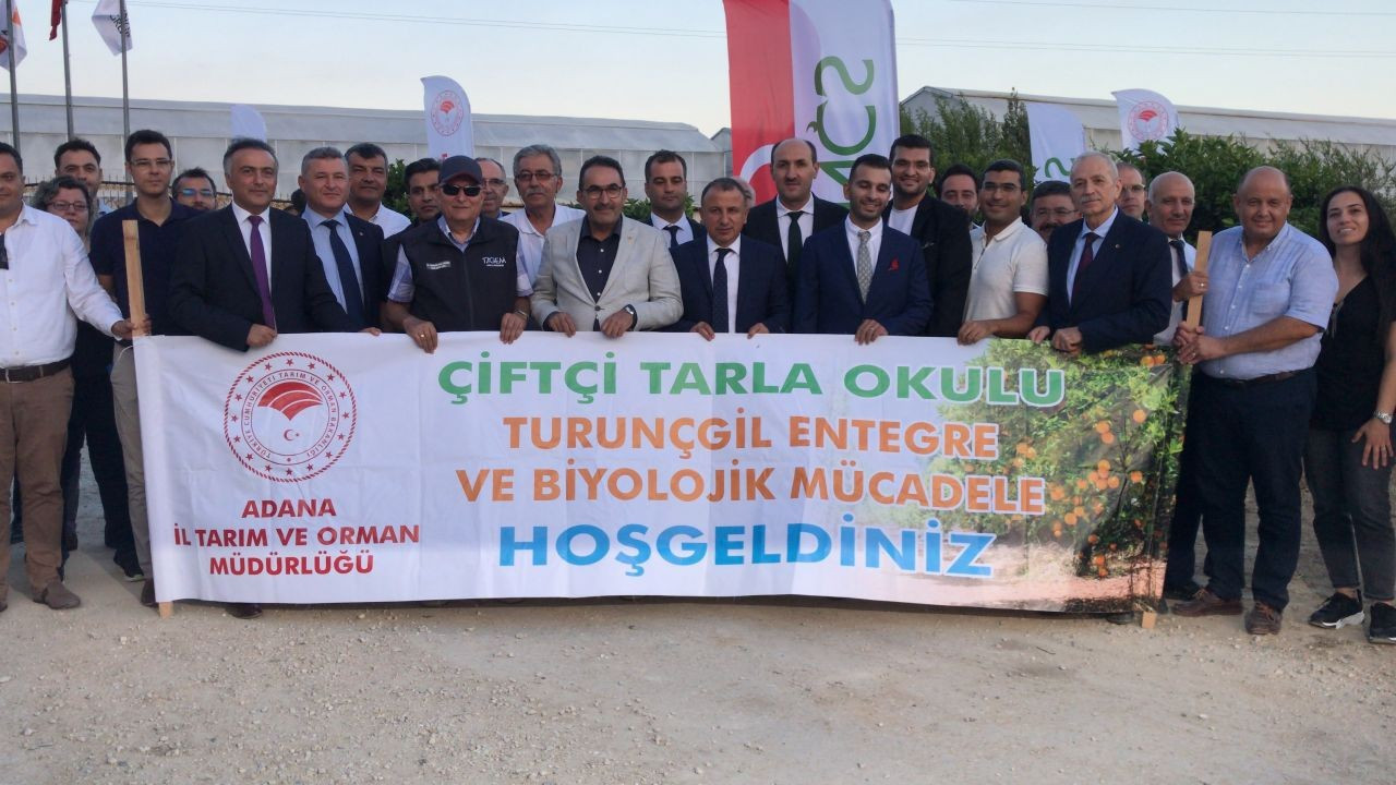 Adana'da narenciye alanlarına faydalı böcek salındı