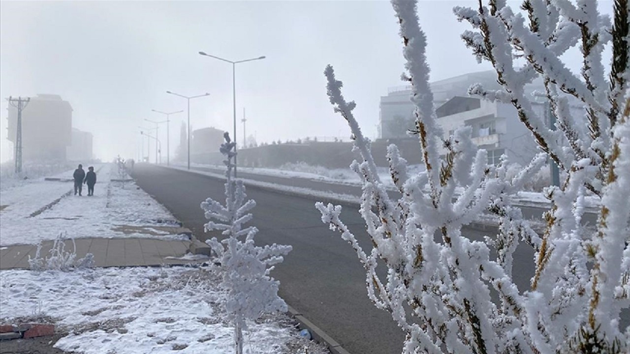 Ardahan ve Kars'ta sis ile dondurucu soğuklar etkili oldu