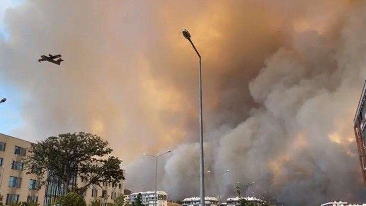 Çanakkale'deki orman yangını büyüyor. Çanakkale-Çan yolu trafiğe kapatıldı, üniversite boşaltıldı. - Sayfa 3