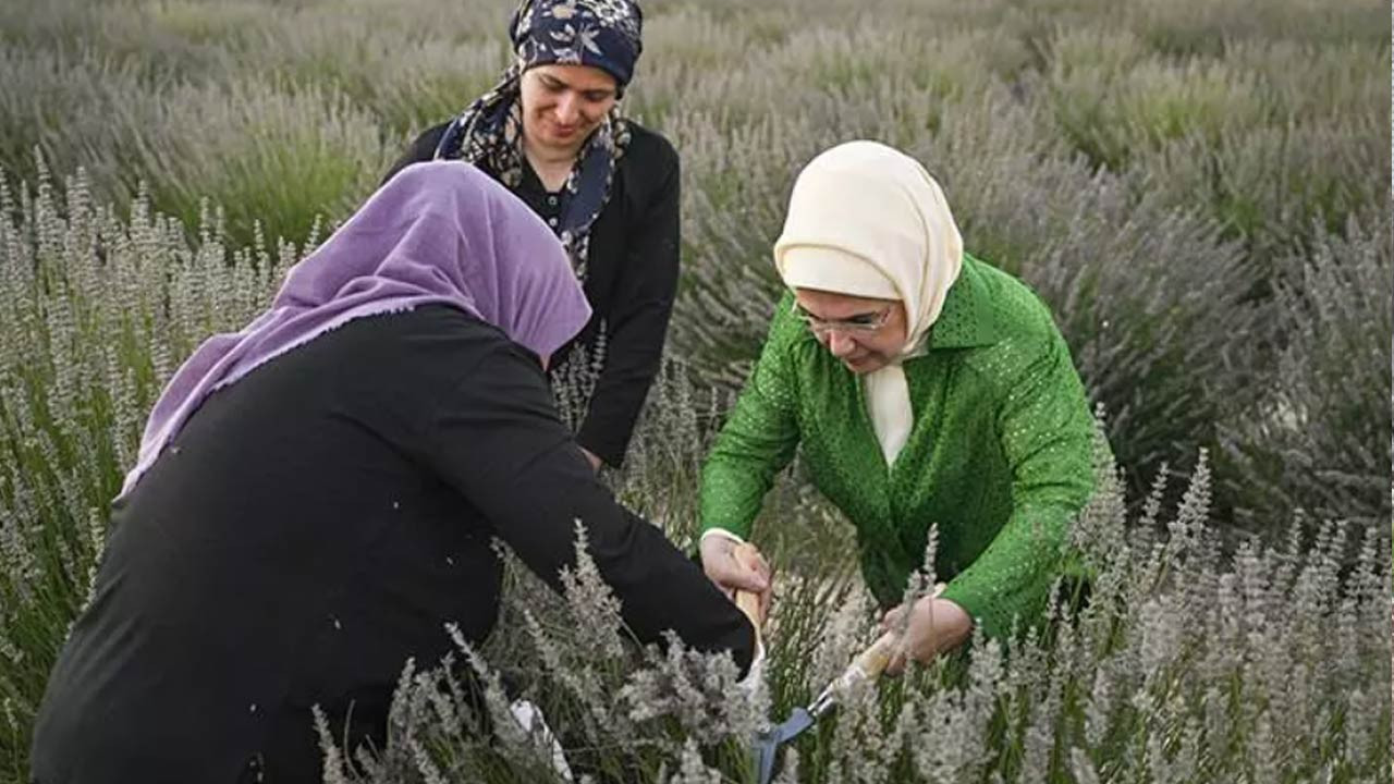 Emine Erdoğan, Ankara Mamak'taki Ekolojik Köy ve lavanta bahçelerini ziyaret etti